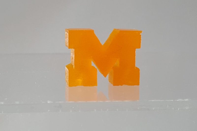 3D Printed U-M
