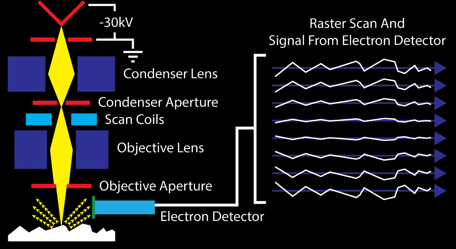 Electron Microscopes Are Awesome: Everything You Didnâ€™t Know You Wanted