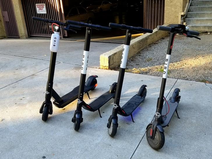 bird scooter rental fort lauderdale