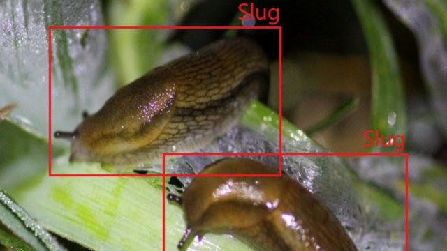 Create SLUG! It's just like Snake, but with a slug - Raspberry Pi