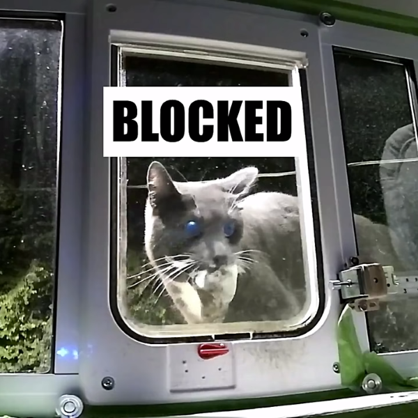 flo control cat door