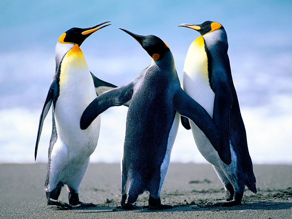 Blend Swap  Club Penguin Fan-Made Rig (Release 0.0.1)