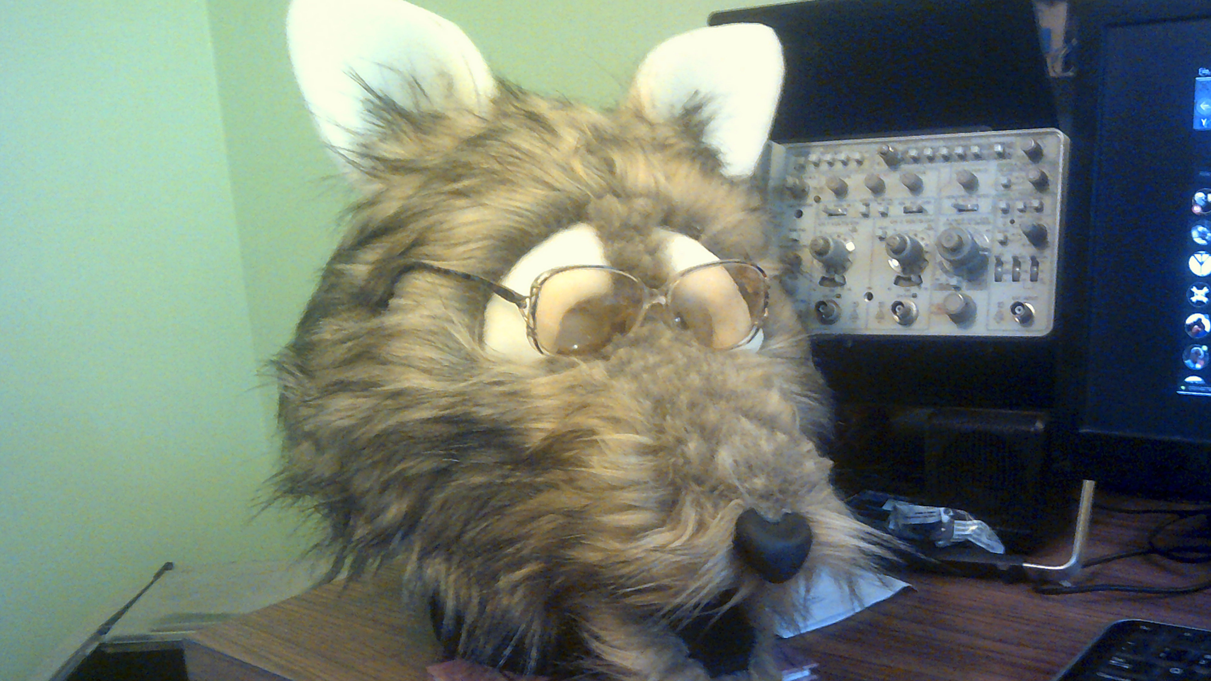 Rob, Furry Fursuit Foam Full Head Base for Fursuiting, for Furries