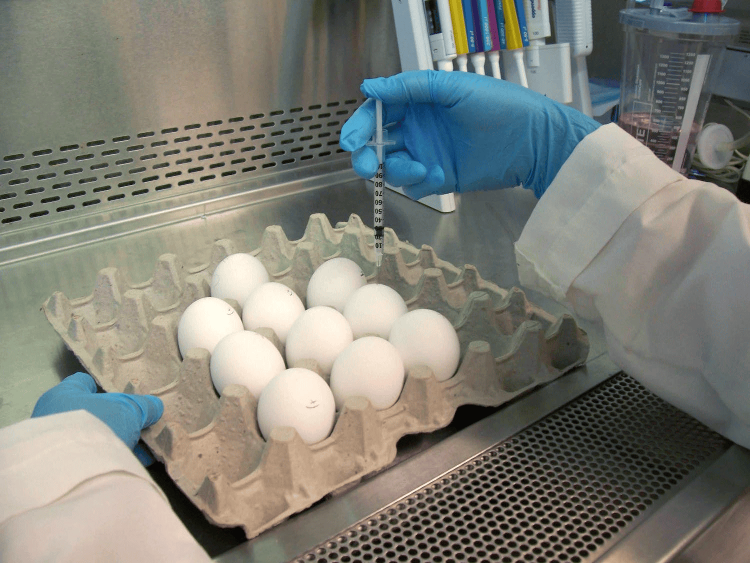 The Strain Of Flu Shot Logistics | Hackaday
