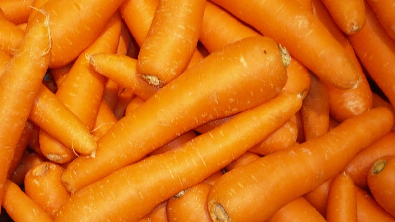 Organic Audio: Putting Carrots as Audio Couplers To The Test thumbnail