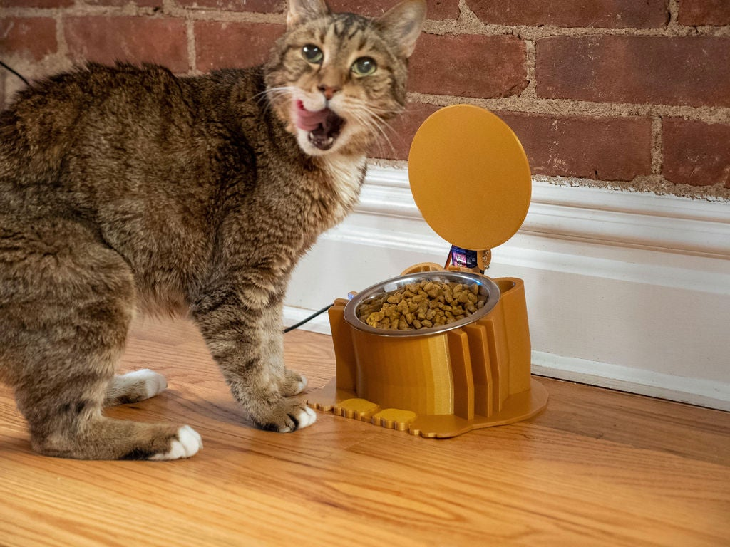 who carries an auto cat feeder