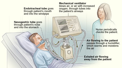 Oxygen Deficiency Monitor - FARADAY SHIELDING Pty Ltd