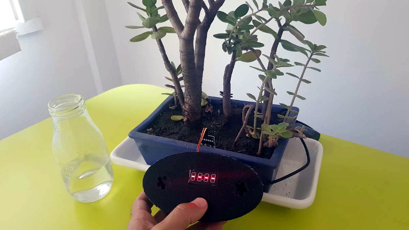 Hearing Plants Giggle Is Just As Creepy As You Think | Hackaday