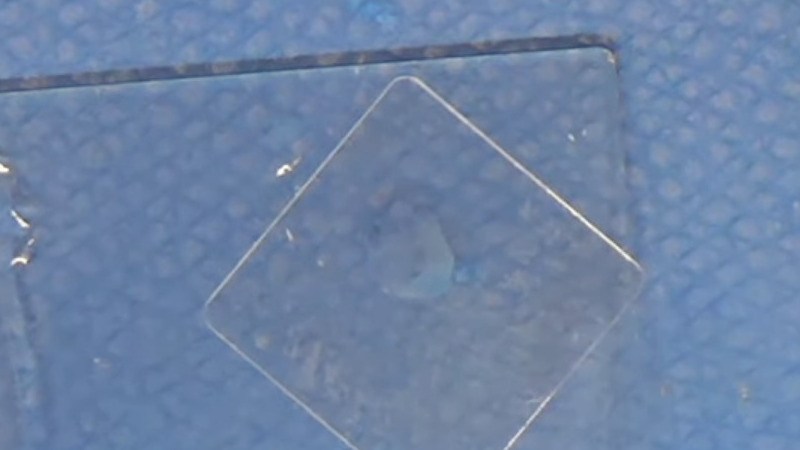 Video: Bil Herds Looks At Mitosis | Hackaday