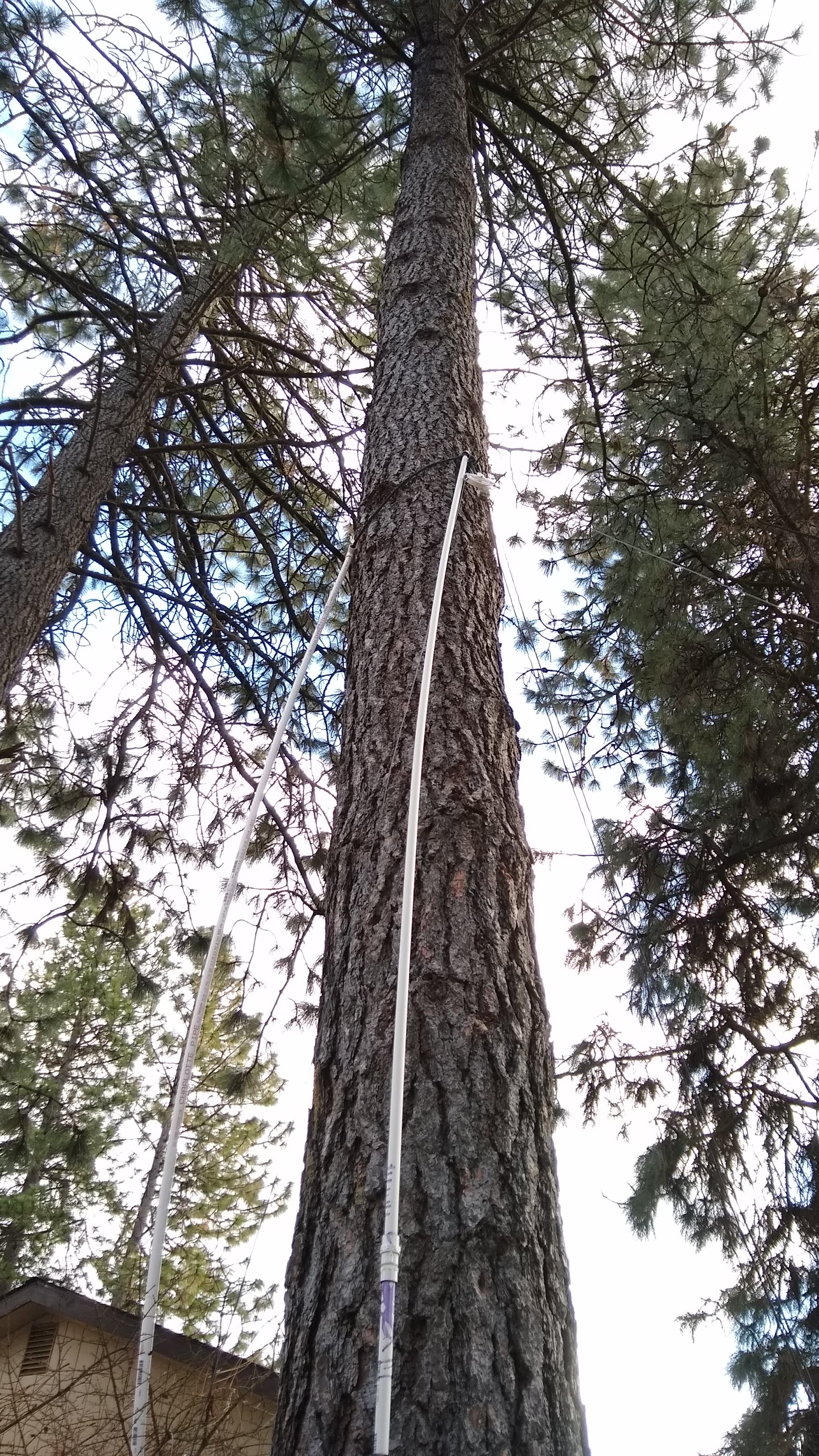 The 50 Ham A Cheap Antenna For The HF Bands Hackaday