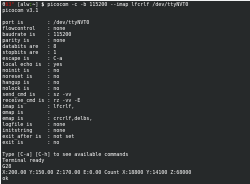 Picocom can talk across the network using a virtual serial device