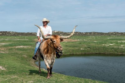 An accurate and contemporary portrait of a typical Texan, as understood by Europeans. Carol M. Highsmith, Public domain.