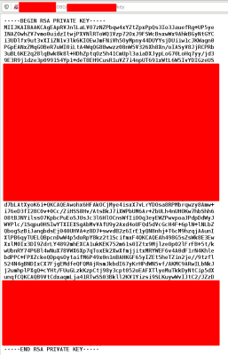 Mostly Redacted RSA Key
