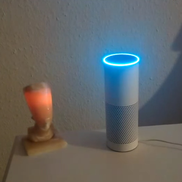 Amazon echo sales open source