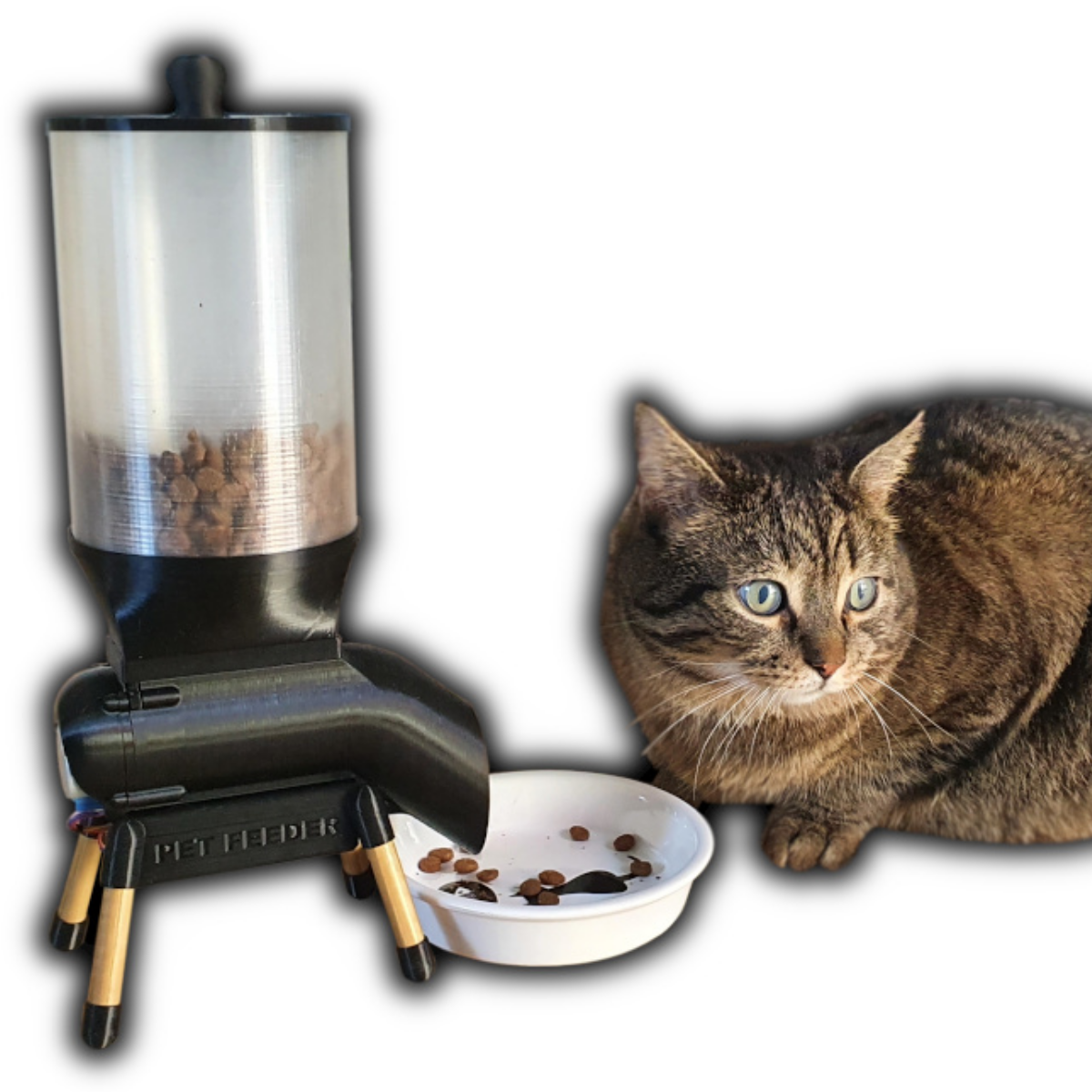 weekly cat feeder