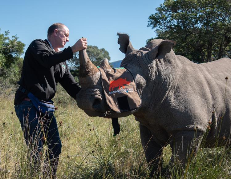 Rhisotope: Addressing Poaching By Making Rhinoceros Horns Radioactive |  Hackaday