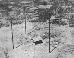 A 2 MHz Adcock installation; public domain