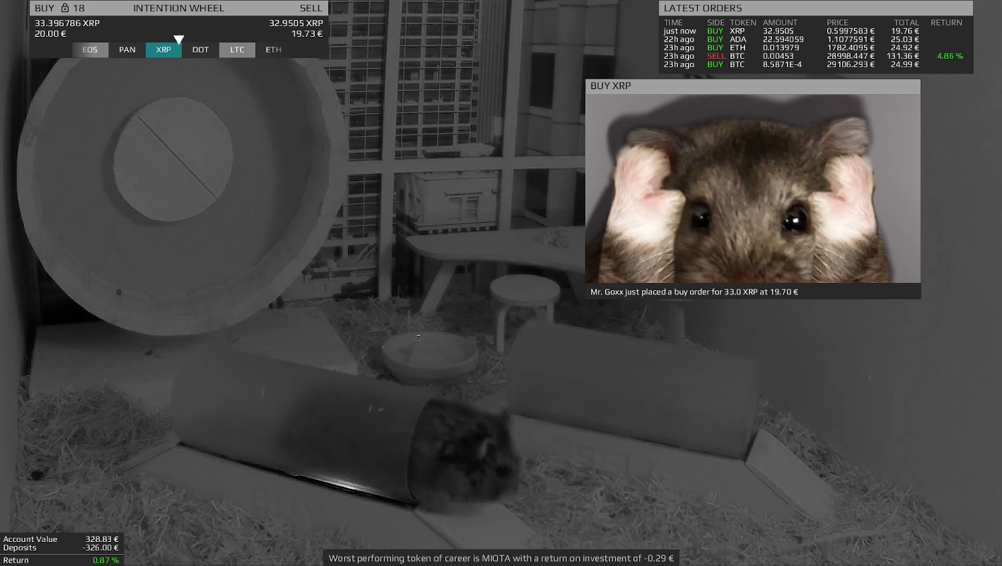 Hamster Trades Crypto Better Than You | Hackaday