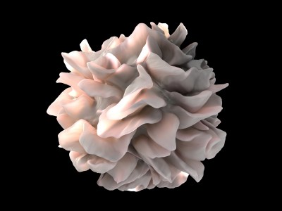 Rendering of dendritic cell