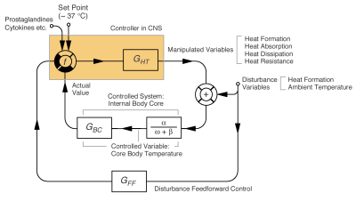 Thermoregulation diagram