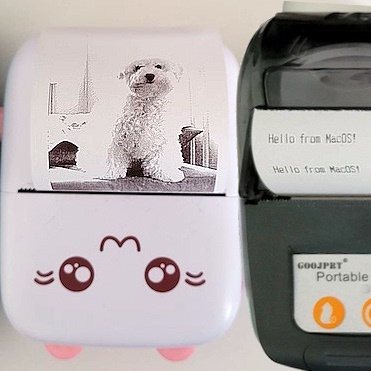 Meow Mini Label Printer Thermal Portable Printers Stickers Paper