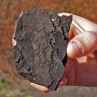 A sample of oil shale, a kerogen