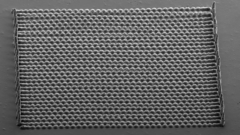 Scanning electron micrograph of a microfabricated lens array