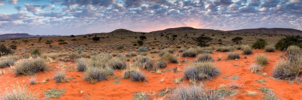 Photo of an arid desert landscape