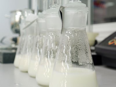 Flasks of lab-grown milk.