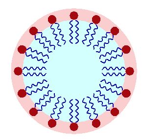 Schematic diagram of a micelle of oil in aqueous suspension, such as might occur in an emulsion of oil in water. In this example the surfactant molecules' oil-soluble tails project into the oil, while the water-soluble ends remain in contact with the water phase