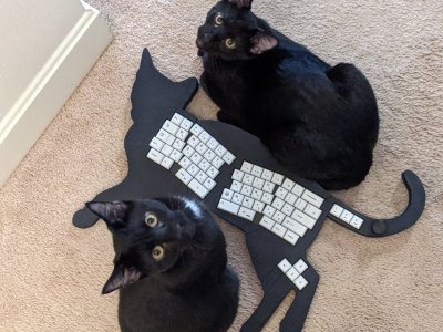 Finn and Gus with their namesake keyboard.