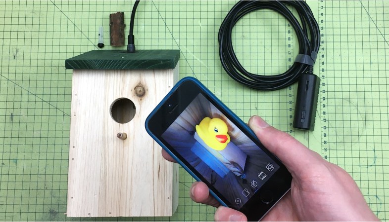 WiFi bird box with phone showing video of a rubber ducky