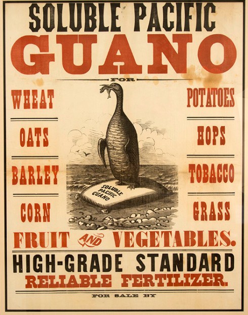 Old guano advertisement