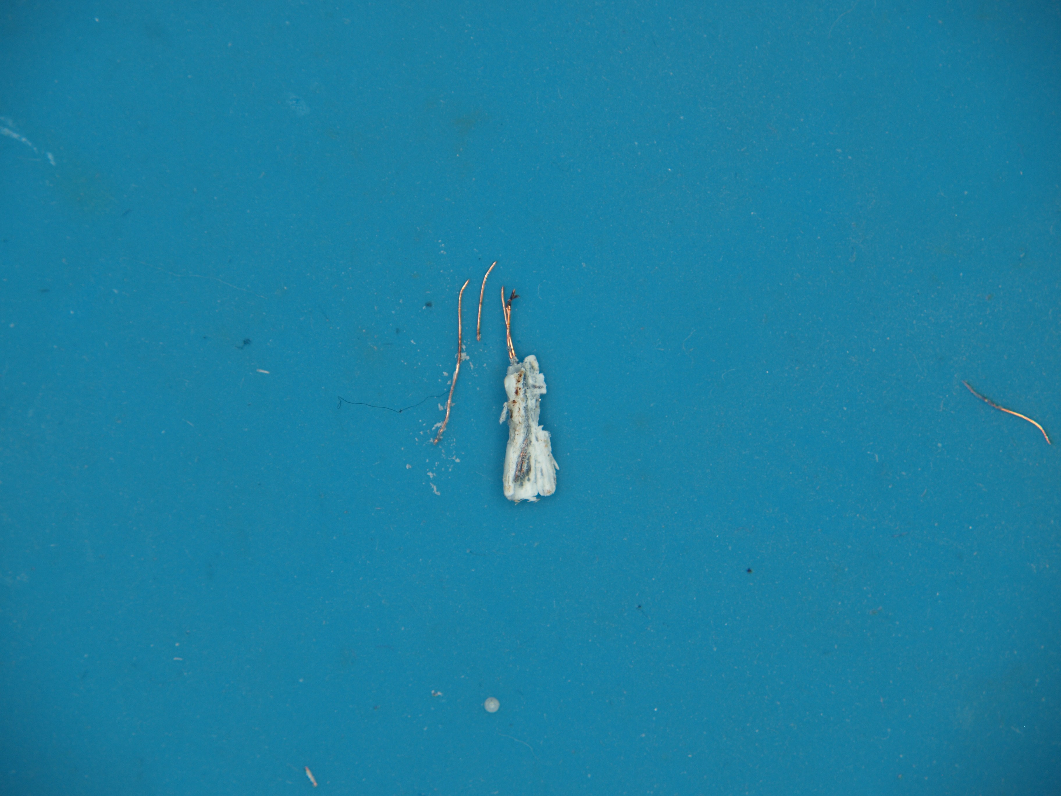 02 | January | 2022 | Hackaday
