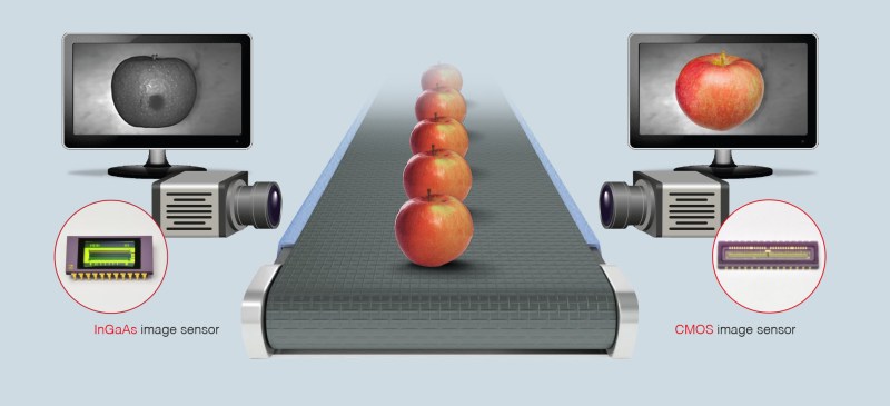 As apples travel down the conveyor belt, they are scanned using InGaAs and CMOS cameras. The InGaAs camera will show defects beginning to form under the skin that a human eye cannot see; the CMOS camera will show visible defects. (Credit: Hamamatsu)