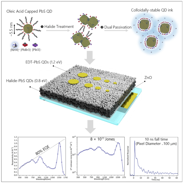 Summary of HLB-stabilized SWIR-sensitive colloidal quantum dot sensor. (Vafaie et al., 2020)