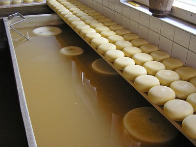 cheeses and a brine bath