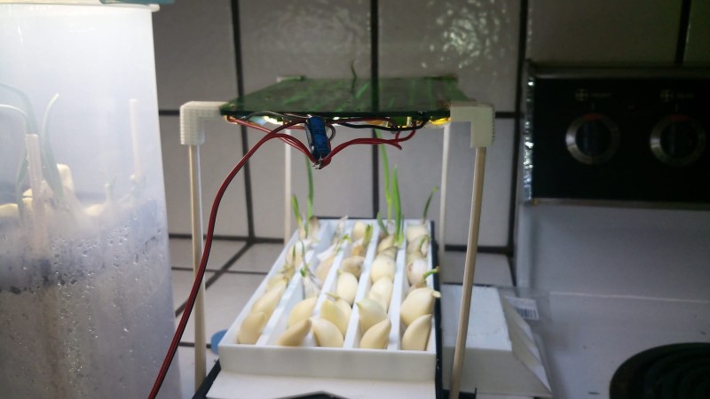 A tupperware-sized 3D-printed aeroponics cell, a grid-like contraption, with about 30 cloves of garlic in it, about five of them starting to grow. The cell is printed with white plastic, and there's a semi-transparent acrylic roof with LED strips attached to its underside, lifted about 3-4 inches above the garlic.