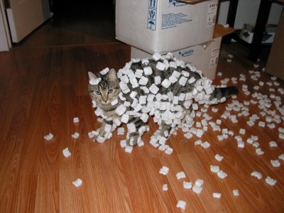 The triboelectric effect, demonstrated by a cat and styrofoam peanuts. (Credit: Sean McGrath)