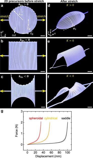 The 2D kirigami sheets, their transformations and force-displacement curves (Hong et al., 2022)