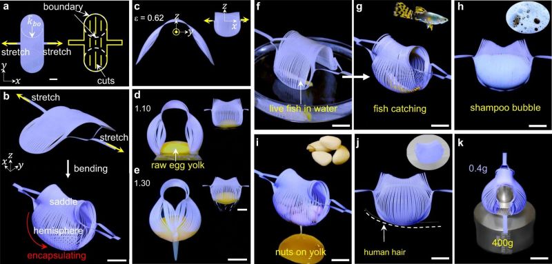 Delicate and non-invasive programmable kirigami gripper.  (Hong et al., 2022)