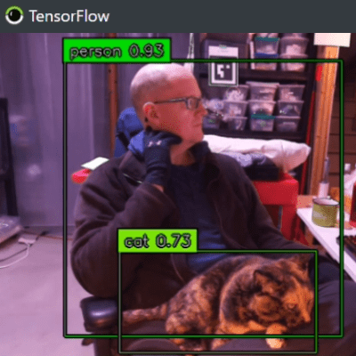 Person and cat with machine-generated tags identifying them