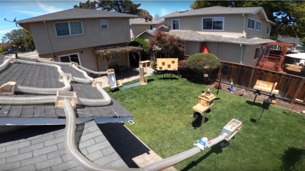 Backyard with a squirrel maze