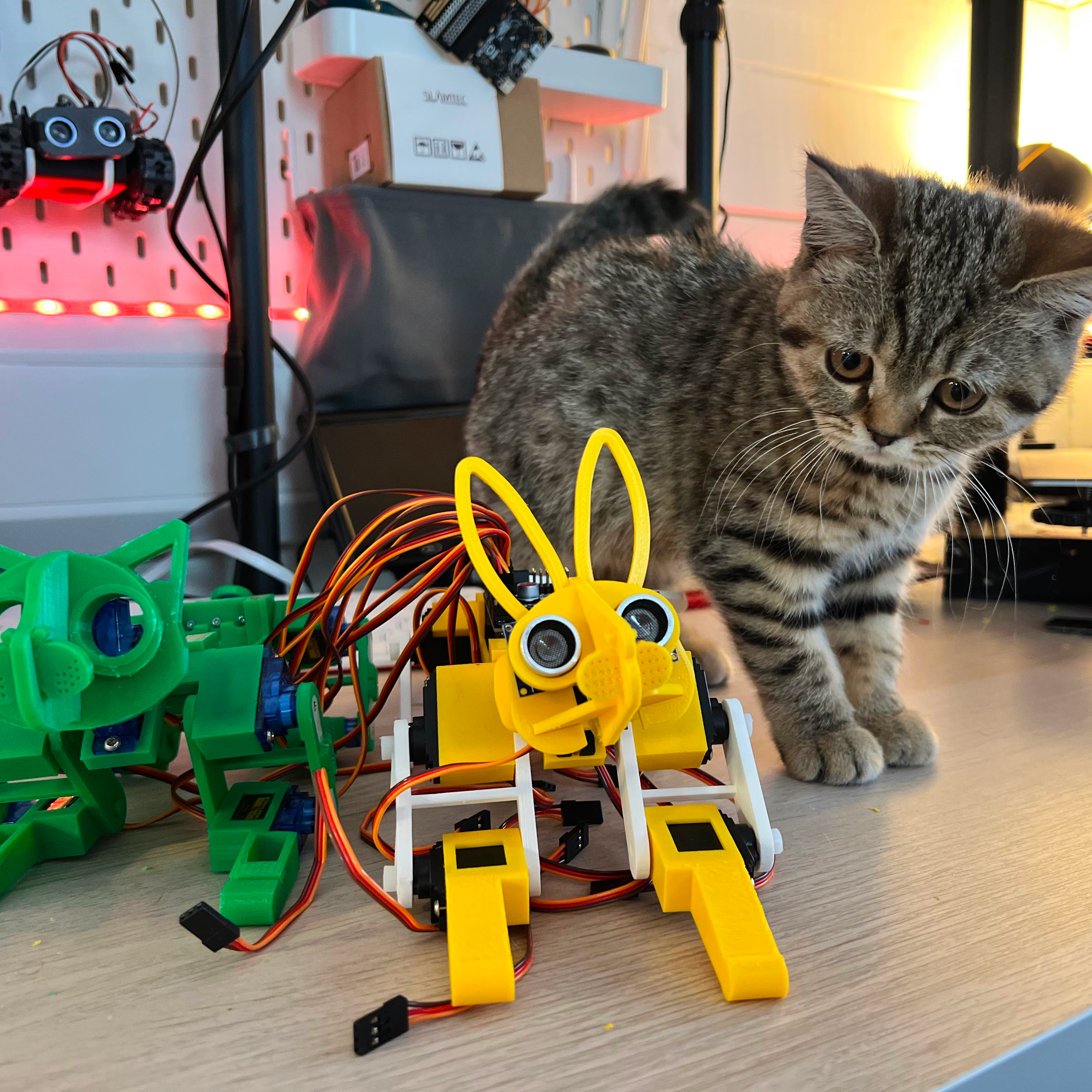 Arduino discount cat robot