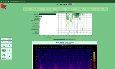 Screenshot of the BirdNET-Pi interface, showing a chart of bird chirp occurences, and a spectrogram below it