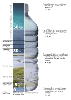 Water salinity diagram. (Credit: Peter Summerlin)