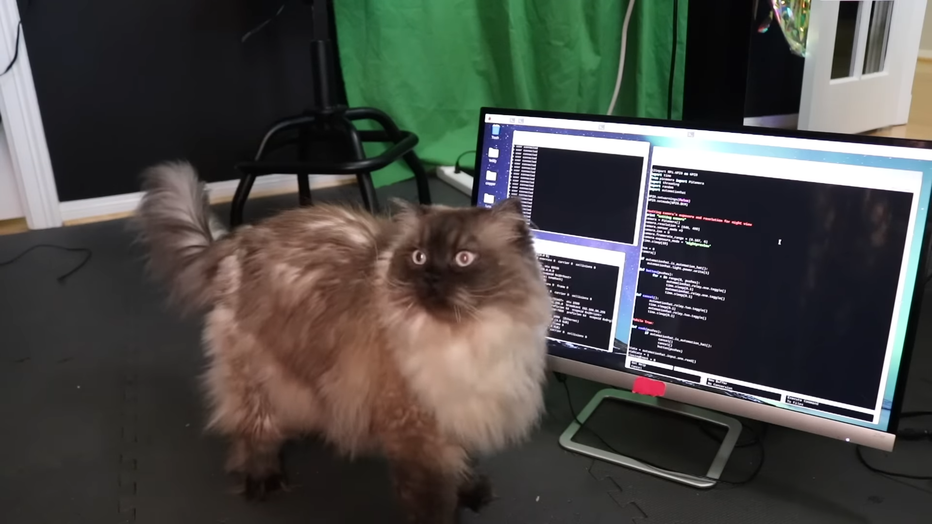 Контролюйте використання котячого лотка за допомогою ШІ