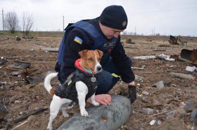 Ukrainian sapper with a landmine finder dog Patron in Ukraine after battle during the 2022 Russian invasion