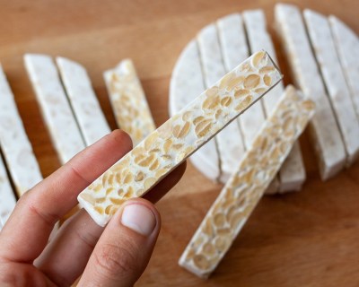 Ready tempeh disks cut into long pieces, showing the cross-section of some. It looks pretty tasty!