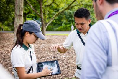 singapore_tree_management_system.jpg?w=400